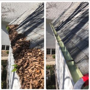 Gutter cleaning Services