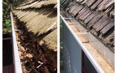 Four Questions to Ask About Gutter Cleaning Services